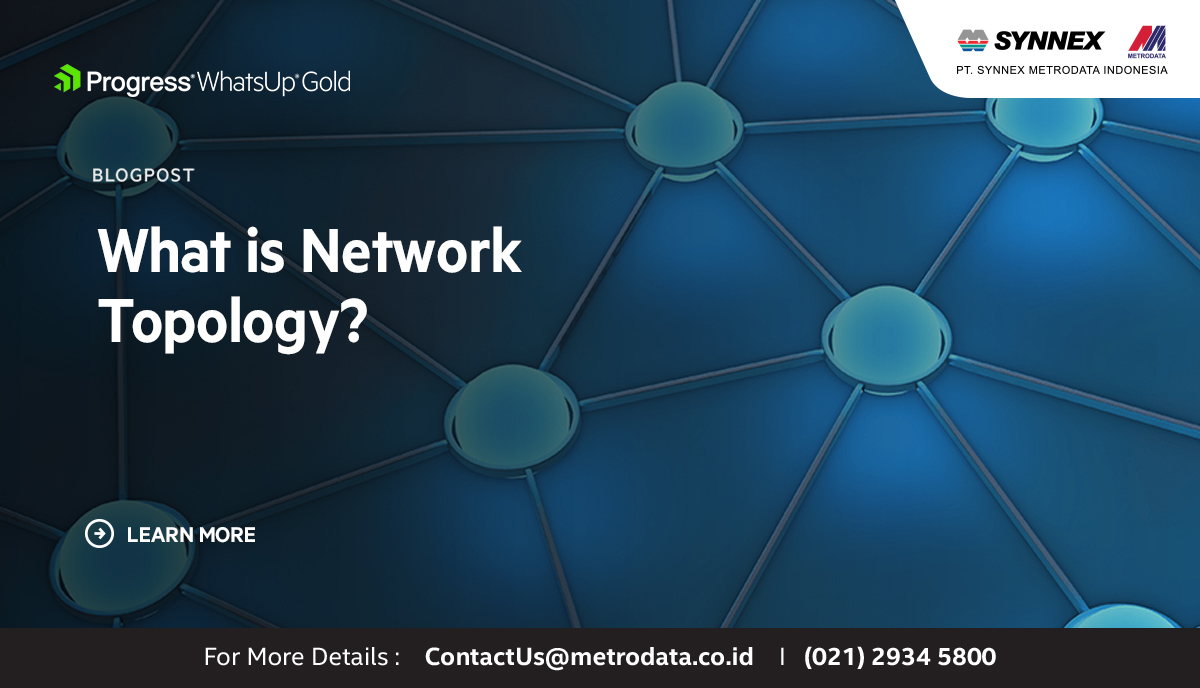 Progress WhatsUp Gold : What is Network Topology ?