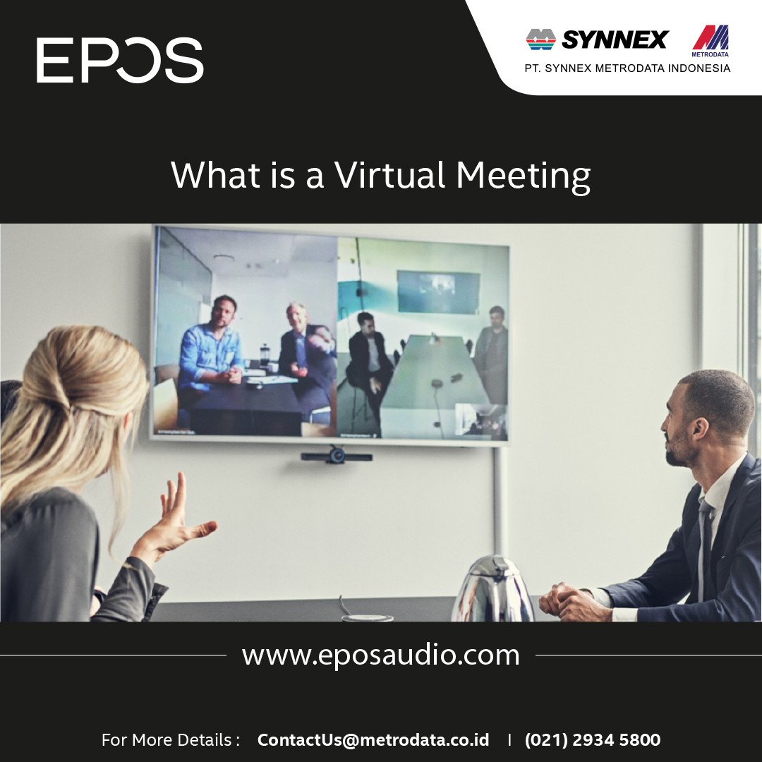 EPOS : What is a Virtual Meeting
