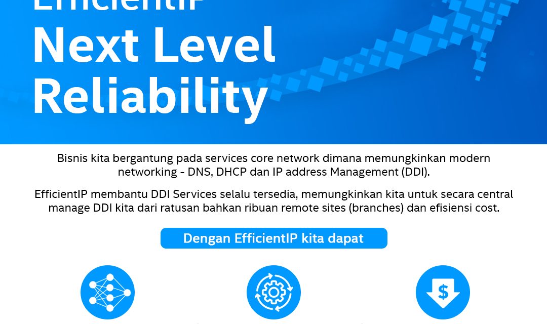 EfficientIP : Next Level Reliability