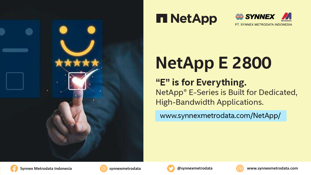 NetApp E2800