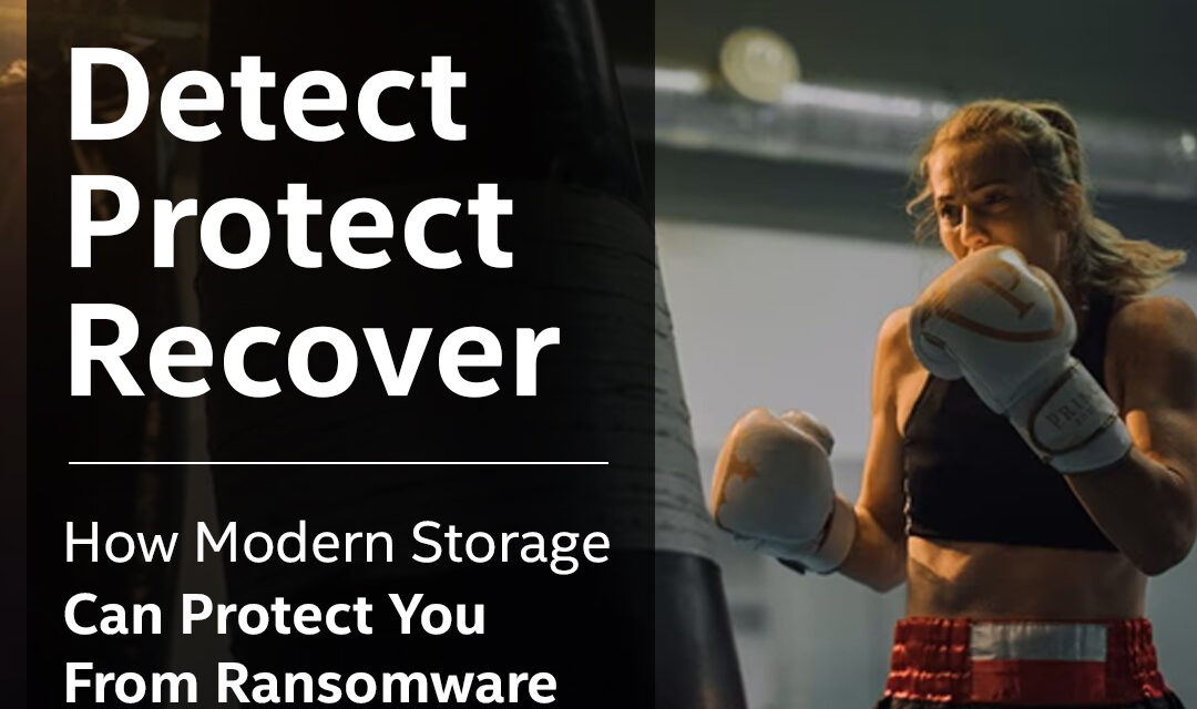 NetApp : Detect Protect Recover